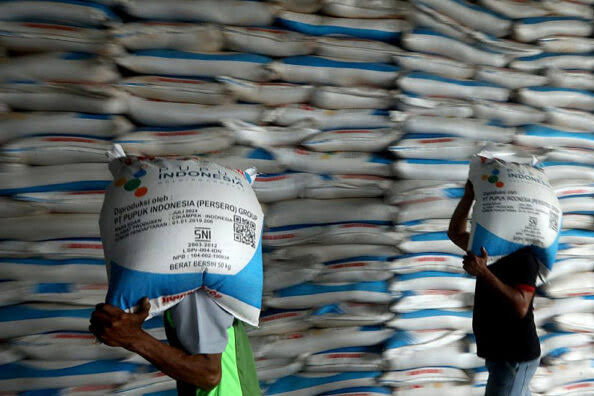 Government Asked to Simplify Fertilizer Distribution Regulation | INSIDER