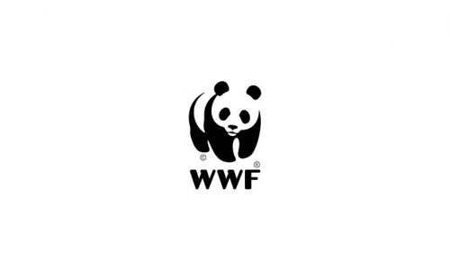 Image: @WWF Indonesia